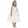 Girls Dress Style 065418 Ivory Tea-length Lace V-neck A-line Dress in Choice of Colour